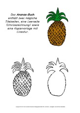 Mini-Buch-Ananas.pdf